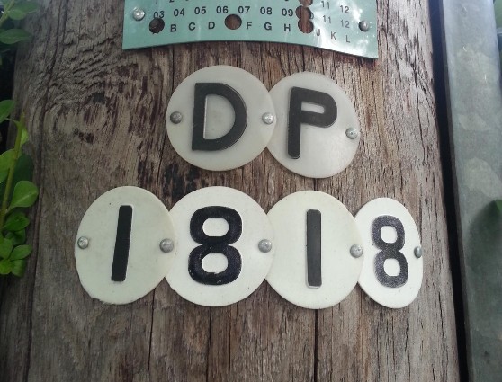 Existing Tagging